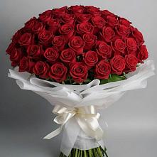 Букет 101 Красная роза Блэк Мэджик #REPLACE_PRED# Красной горе