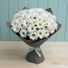 Букет цветов из:  Хризантемы #REPLACE_PRED# Красной горе