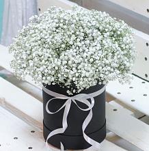 Цветочная композиция из Гипсофила в шляпной коробке #REPLACE_PRED# Красной горе
