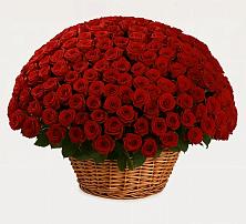 Премиум букет из: Розы #REPLACE_PRED# Красной горе